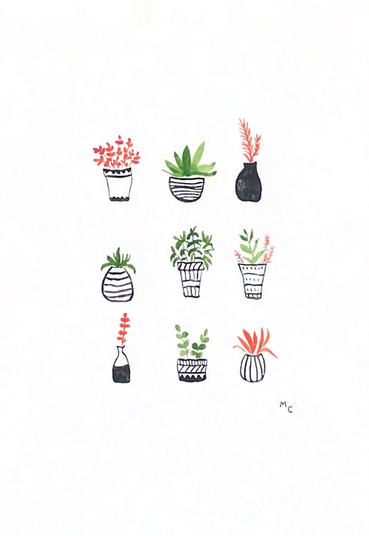 LES PETITES PLANTES