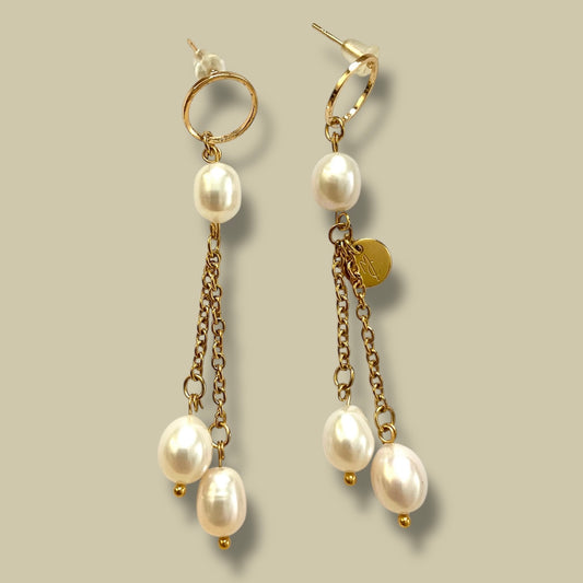 Les boucles MONI